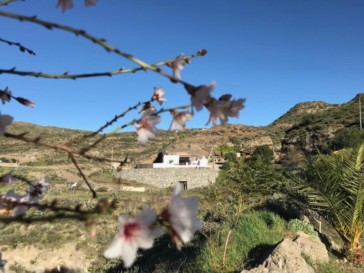 Casa Cueva El Caidero Artenara